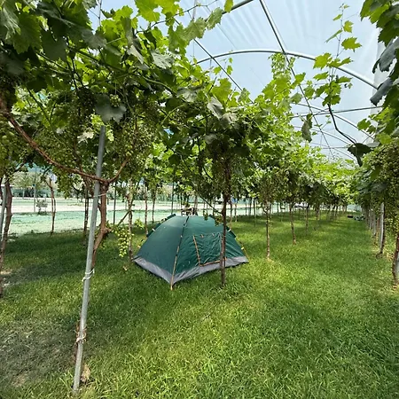 Campingplatz Agro Harmony Berat