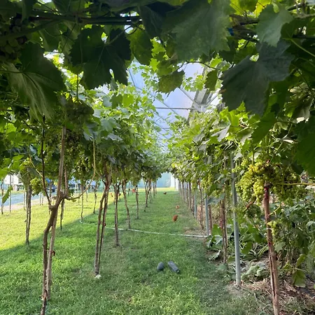 Campingplatz Agro Harmony